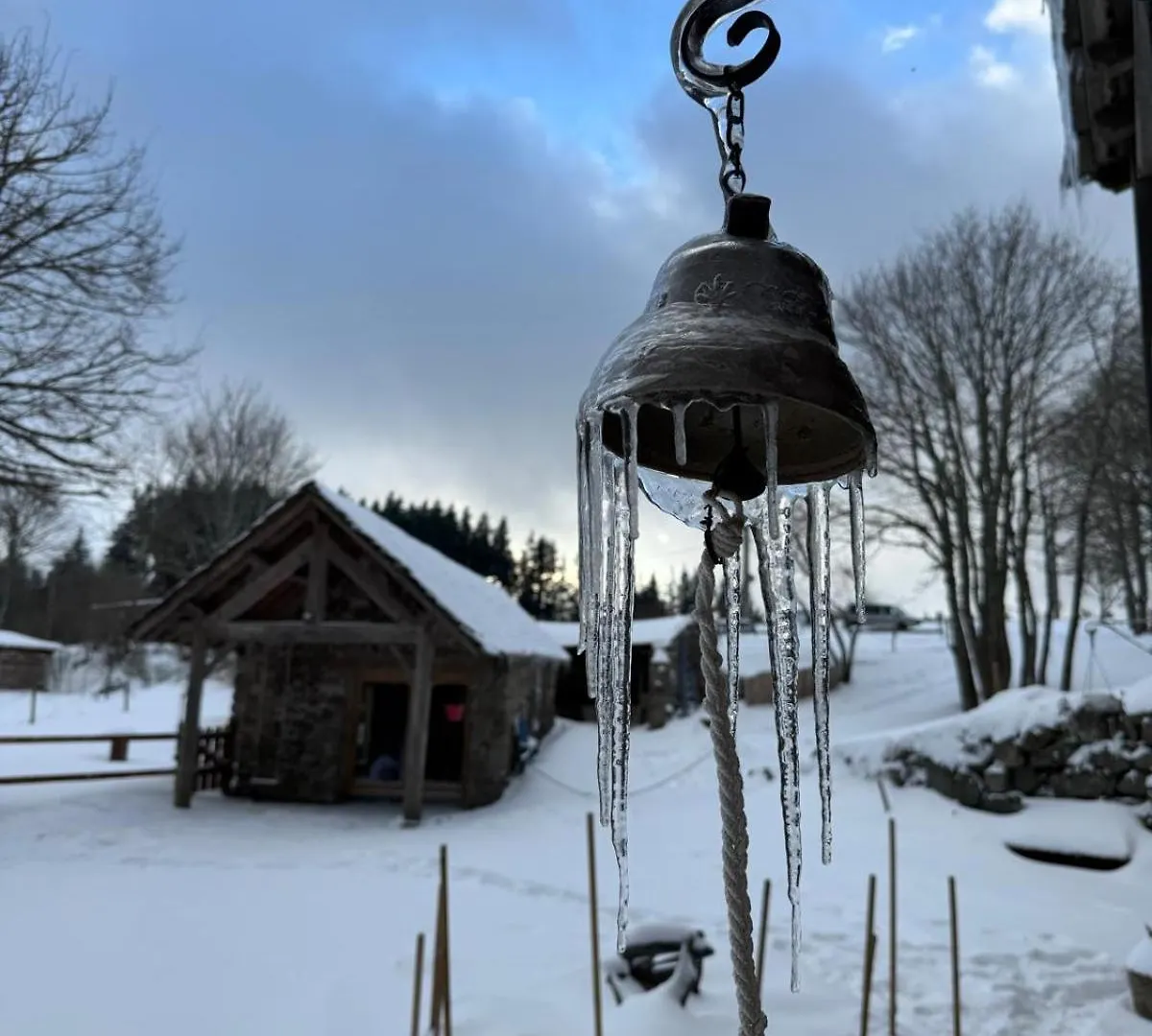 Chalet Magnifique Gite En Bord De Lac Devesset