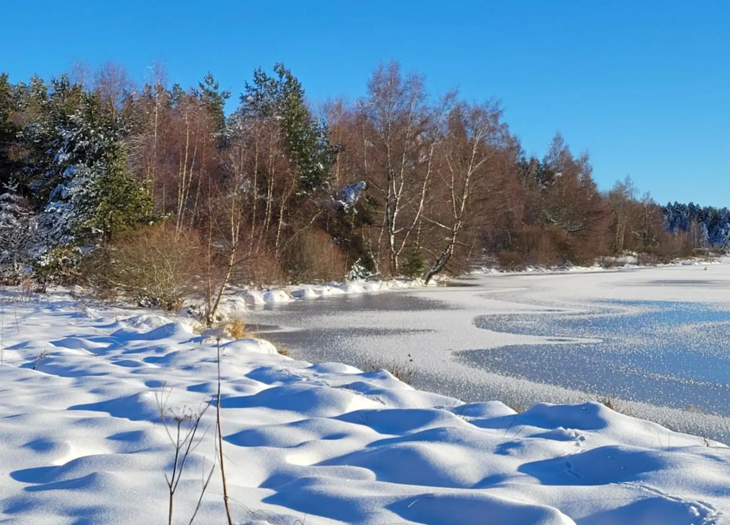 Magnifique Gite En Bord De Lac Devesset