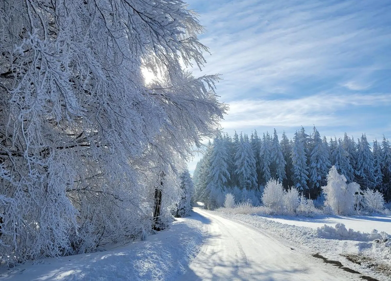 Magnifique Gite En Bord De Lac Devesset France
